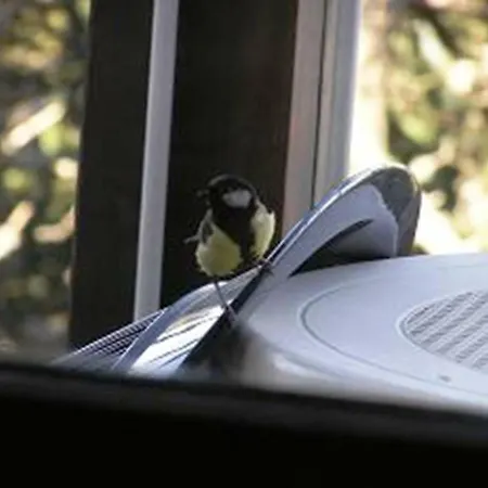 Le Sciurus - Avec Terrasse - Parking *
