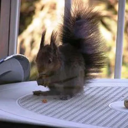 Le Sciurus - Avec Terrasse - Parking Apartament *